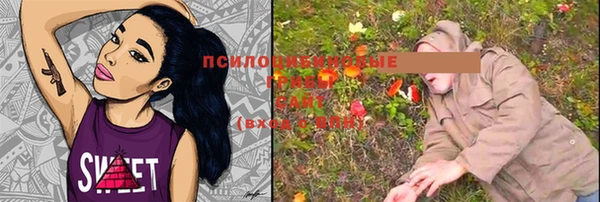 соль ск Алексин