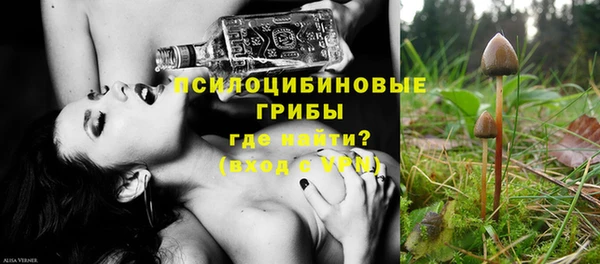 прущий лед Алексеевка