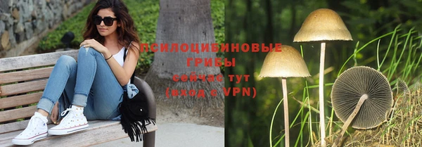 прущий лед Алексеевка