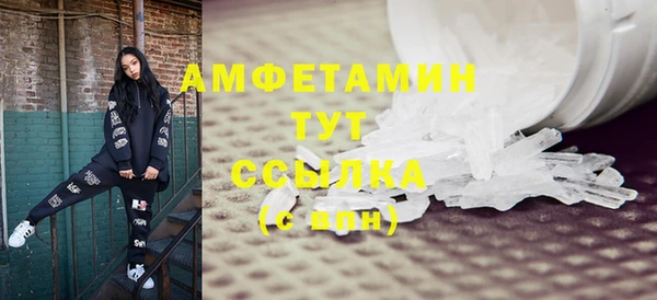 шишки Лабытнанги