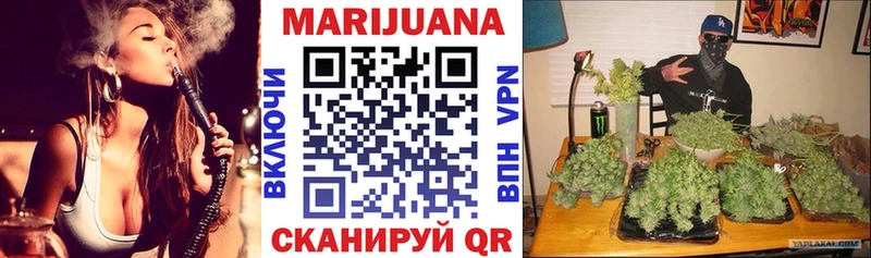 где купить   Кызыл  Канабис семена 